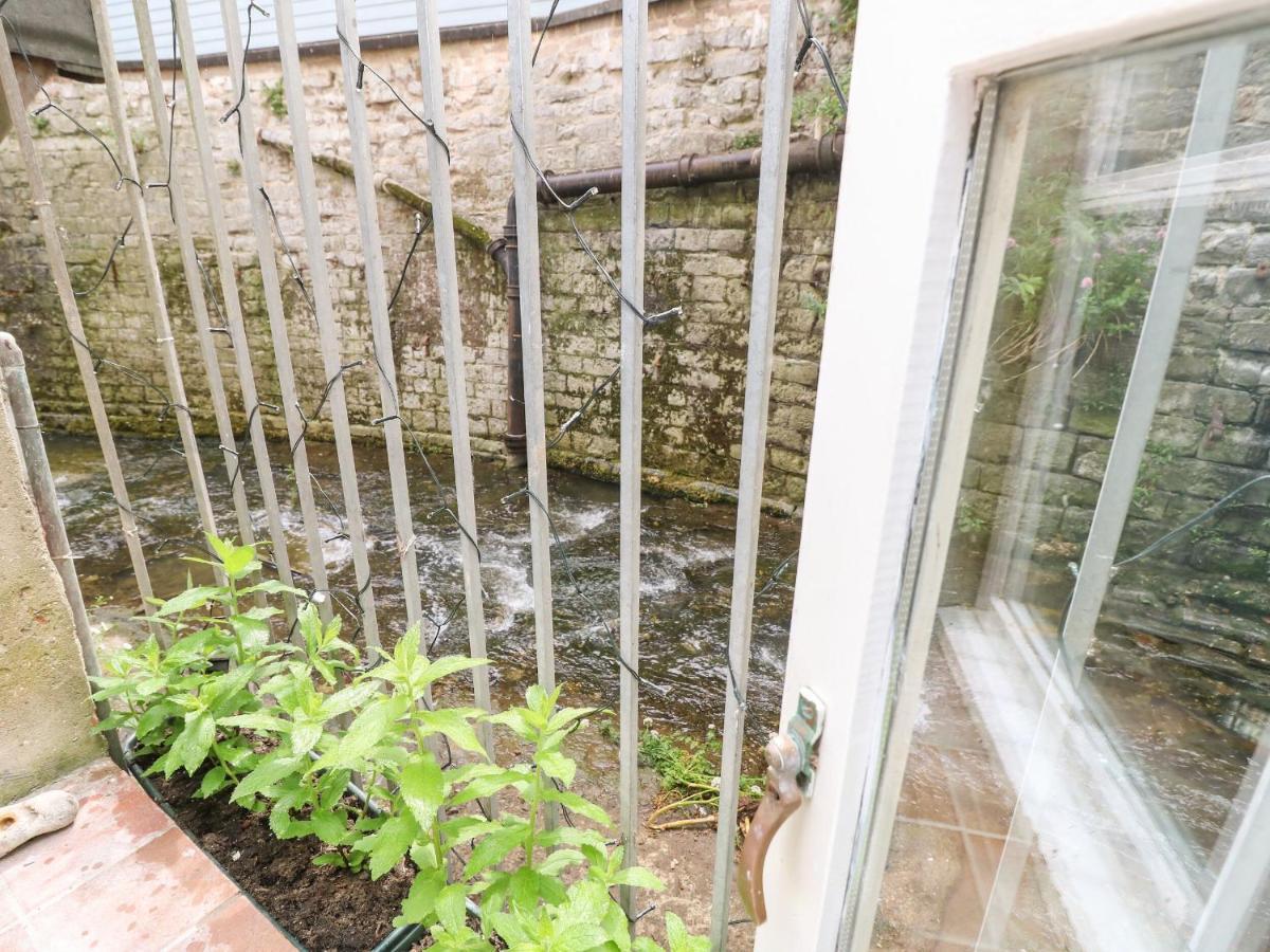Riverdance Cottage Lyme Regis Esterno foto